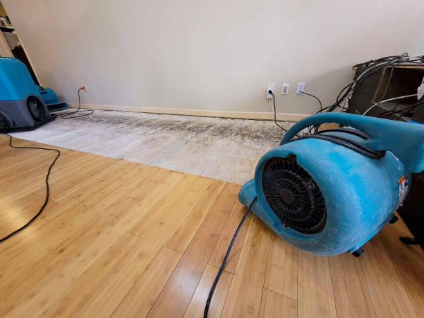 Professional Sewage Cleanup technician working in Wesley Chapel, NC